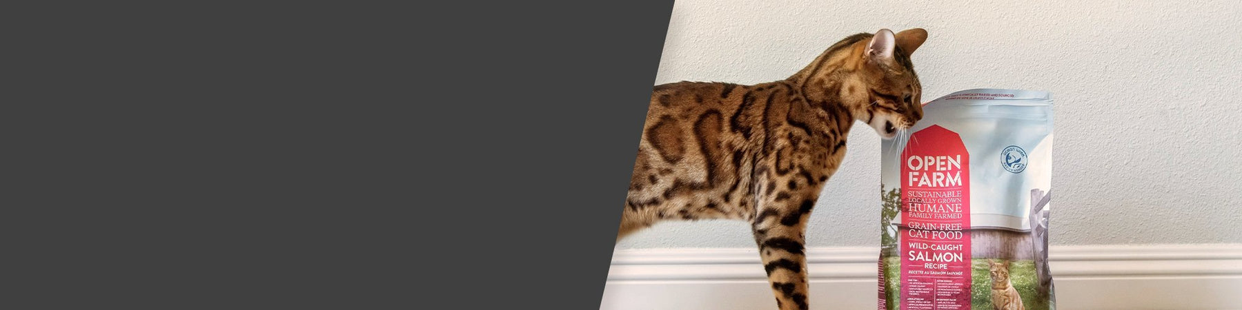 Humane & Sustainable Dry Cat Food | Open Farm