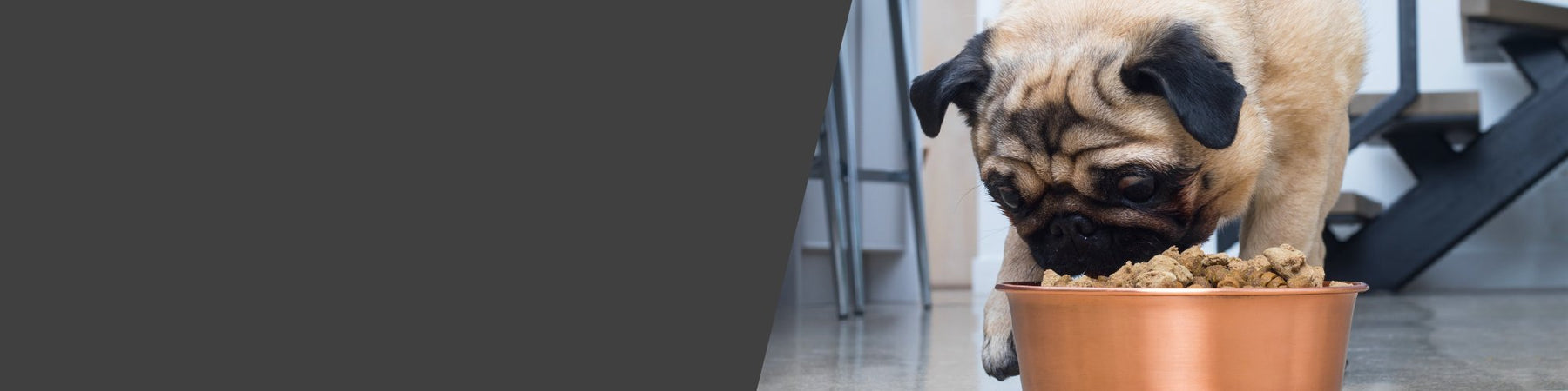 Dog Food: Freeze Dried Raw