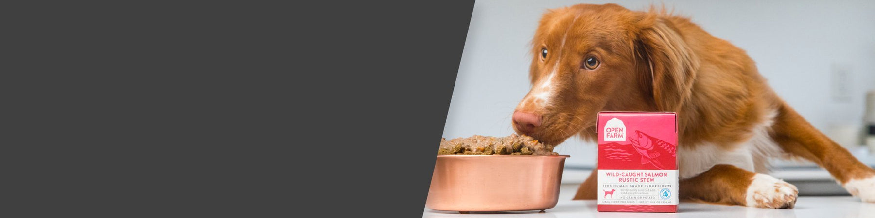 Humane & Sustainable Wet Dog Food - Rustic Stews | Open Farm