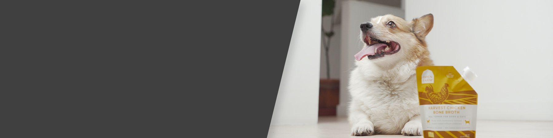 Bone Broth & Organic Kefir for Dogs | Open Farm