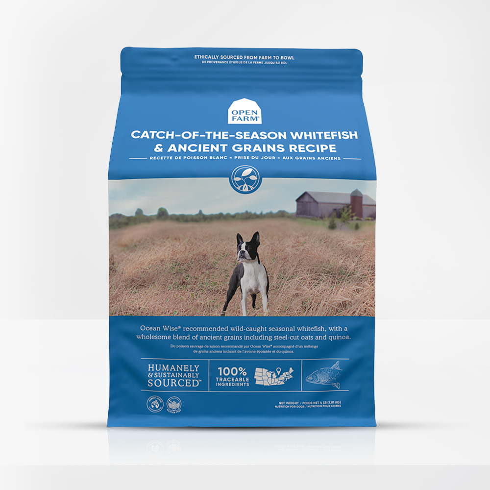 Catch-of-the-Season Whitefish & Ancient Grains Dry Dog Food