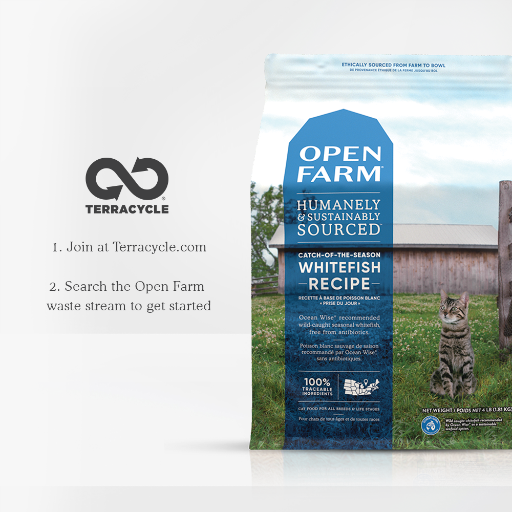 Catch-of-the-Season Whitefish Dry Cat Food