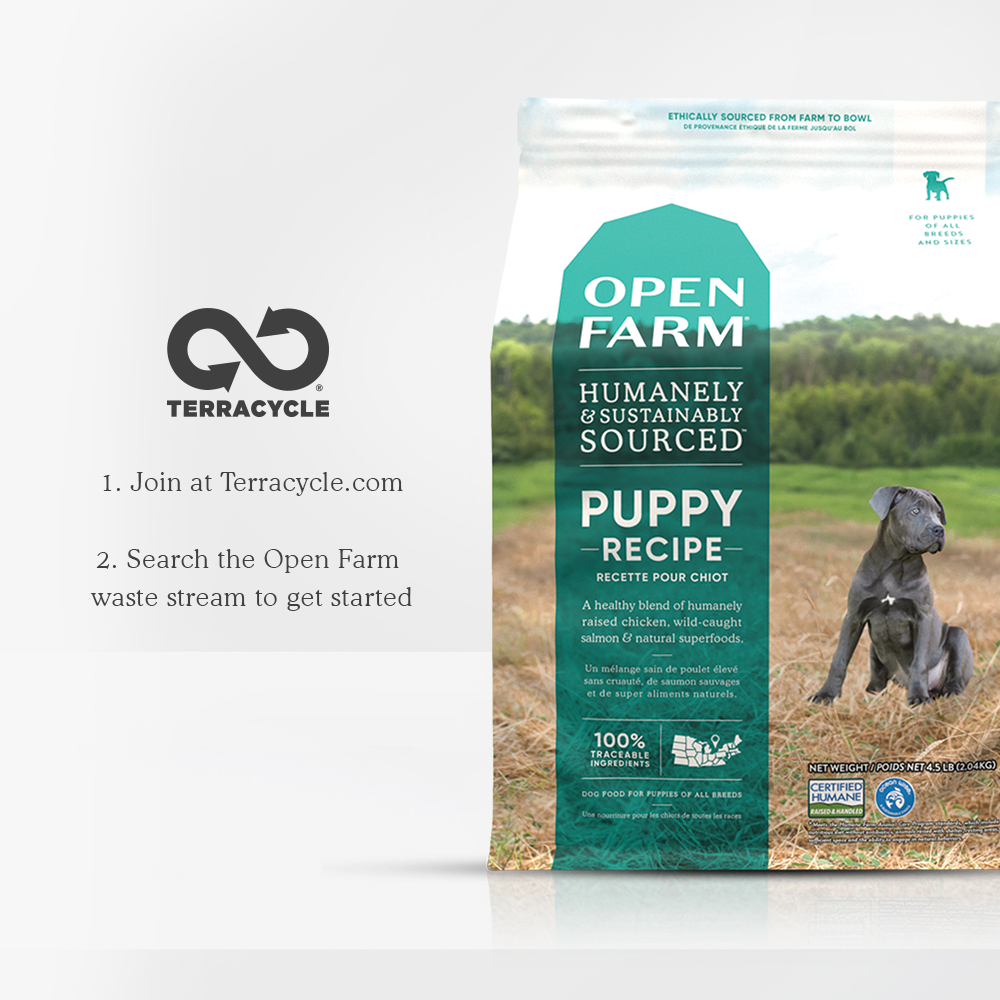 Puppy Dry Dog Food