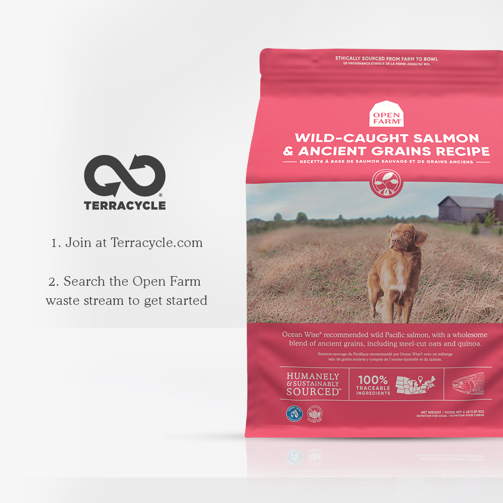 Wild-Caught Salmon & Ancient Grains Dry Dog Food