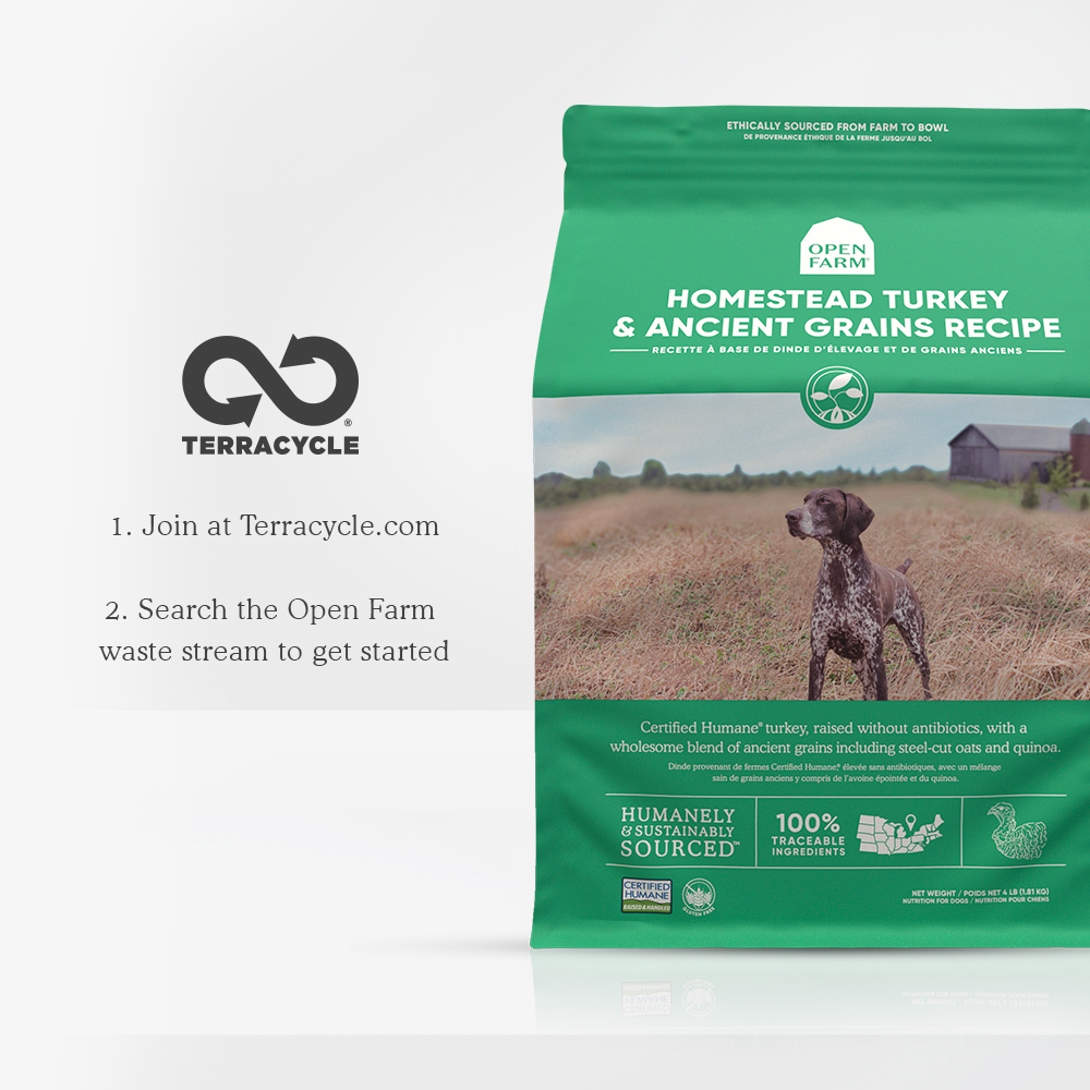 Homestead Turkey & Ancient Grains Dry Dog Food
