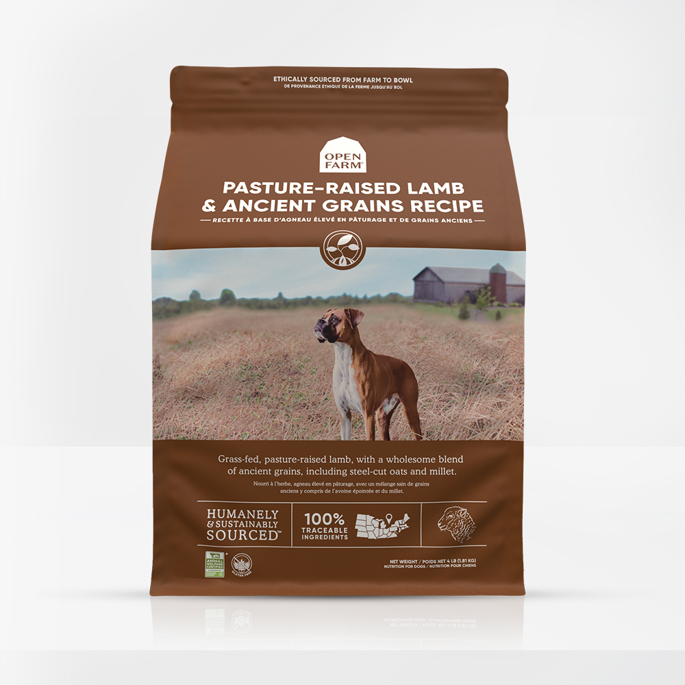 Pasture-Raised Lamb & Ancient Grains Dry Dog Food