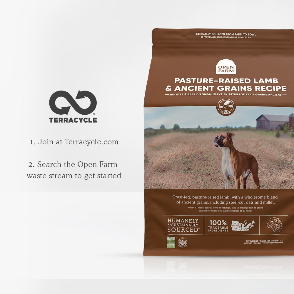 Pasture-Raised Lamb & Ancient Grains Dry Dog Food