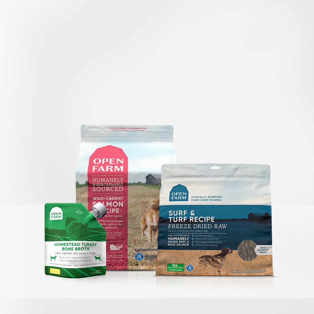 Pawsitively Radiant Bundle Bowl | Open Farm Dog Food