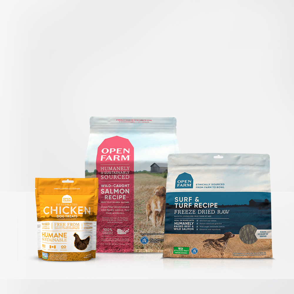 New Puppy Pack Salmon