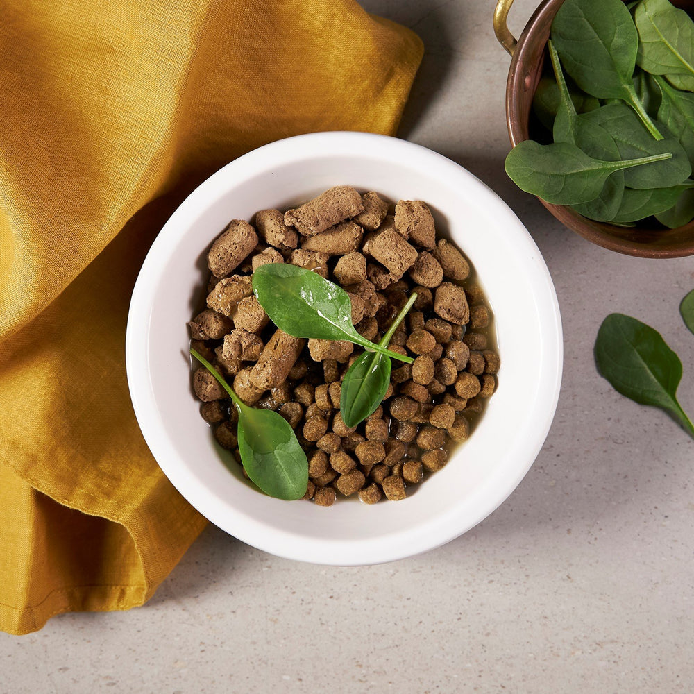 Shiny Fur & Coat Bundle