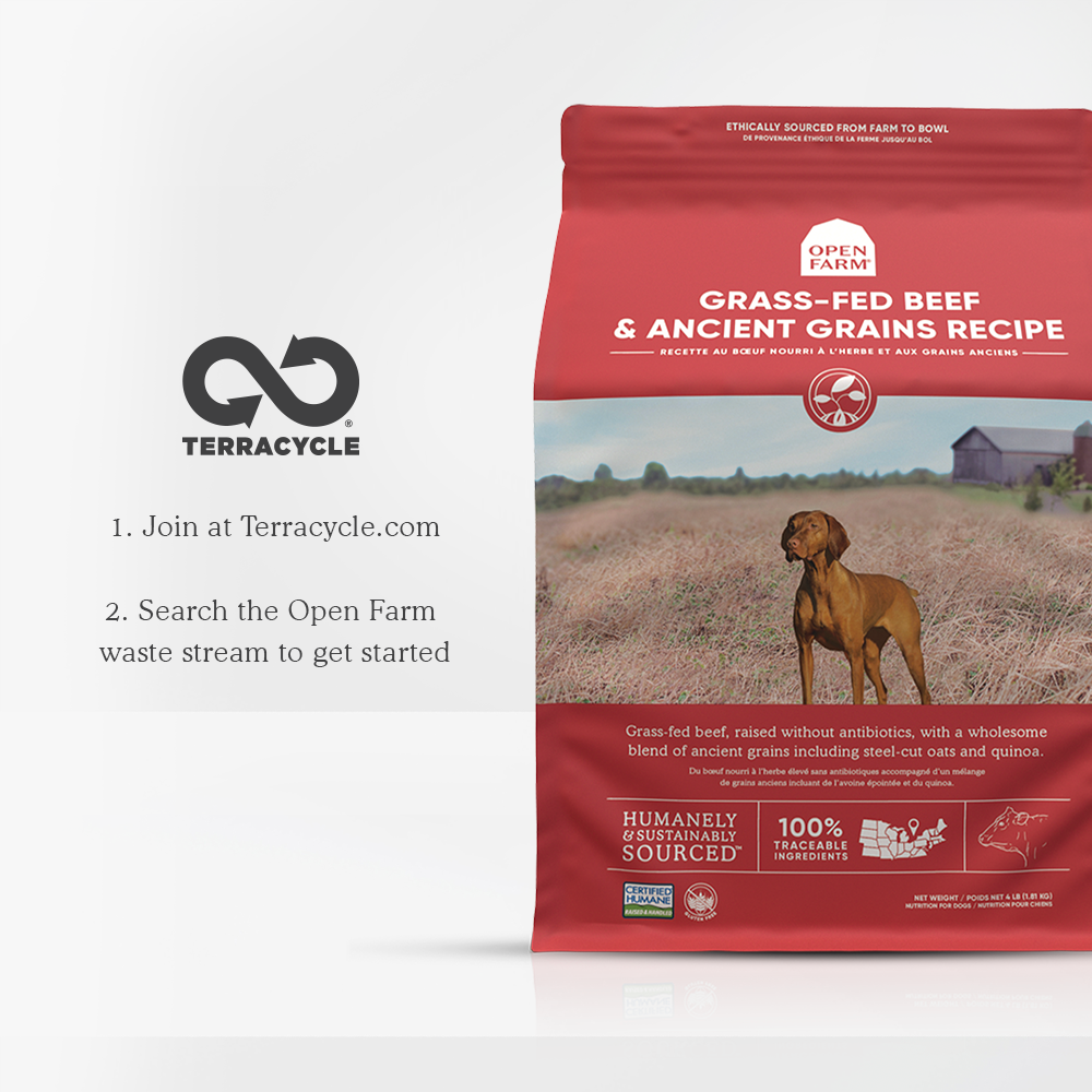 Grass-Fed Beef & Ancient Grains Dry Dog Food