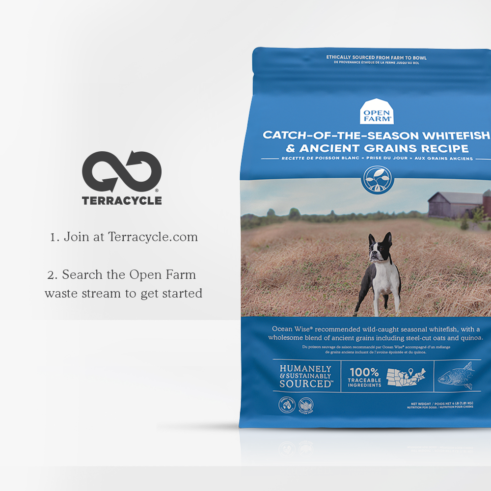 Catch-of-the-Season Whitefish & Ancient Grains Dry Dog Food