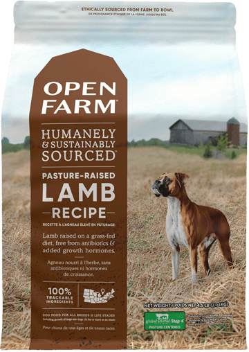 Pasture-Raised Lamb Dry Dog Food