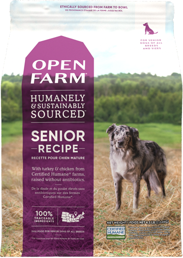 Senior Dry Dog Food