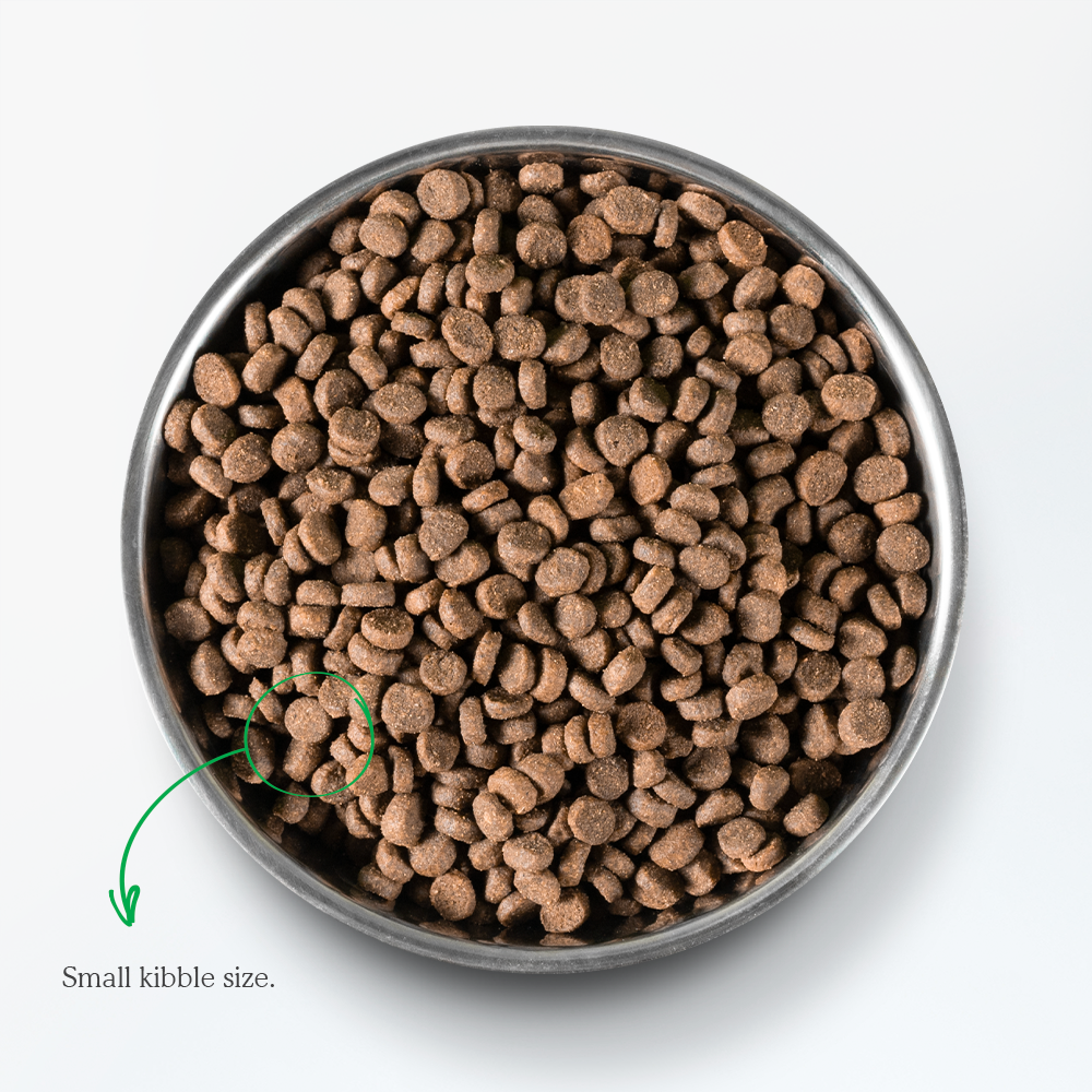 Open Farm Wild-Caught Salmon Dry Cat Food Packaging Back 
