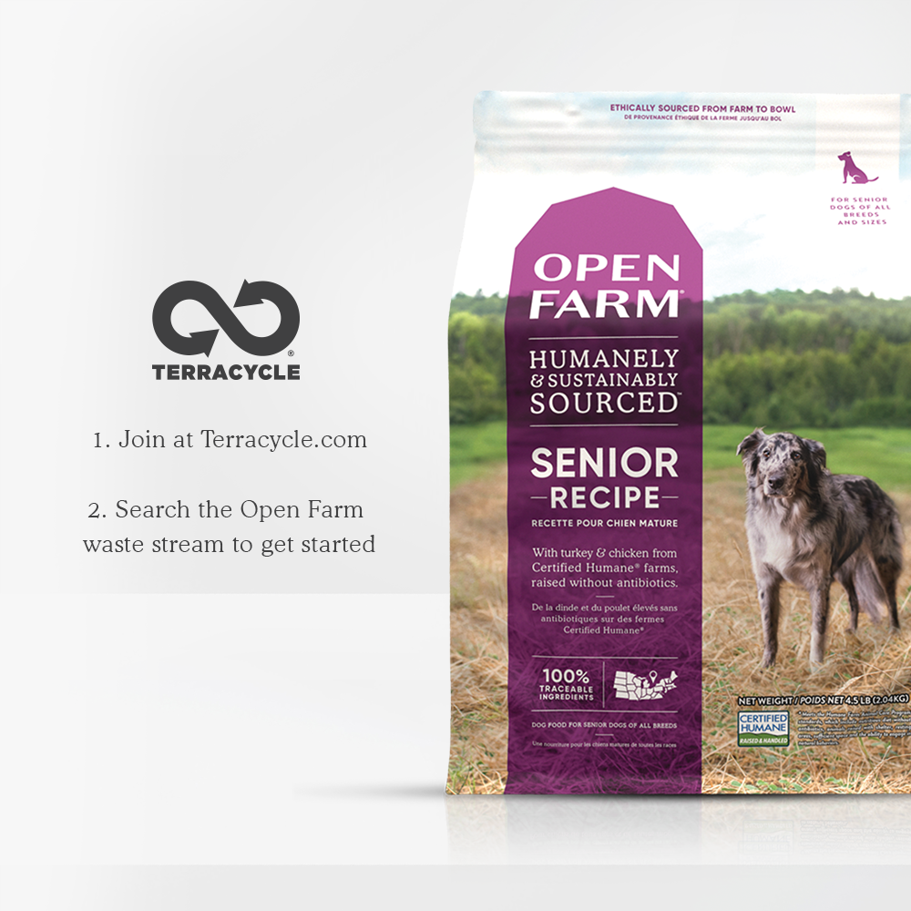 Senior Dry Dog Food