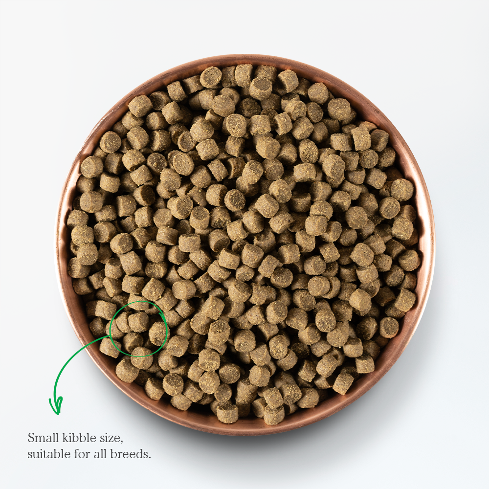 Open Farm Catch-of-the-Season Dry Dog Food kibble image