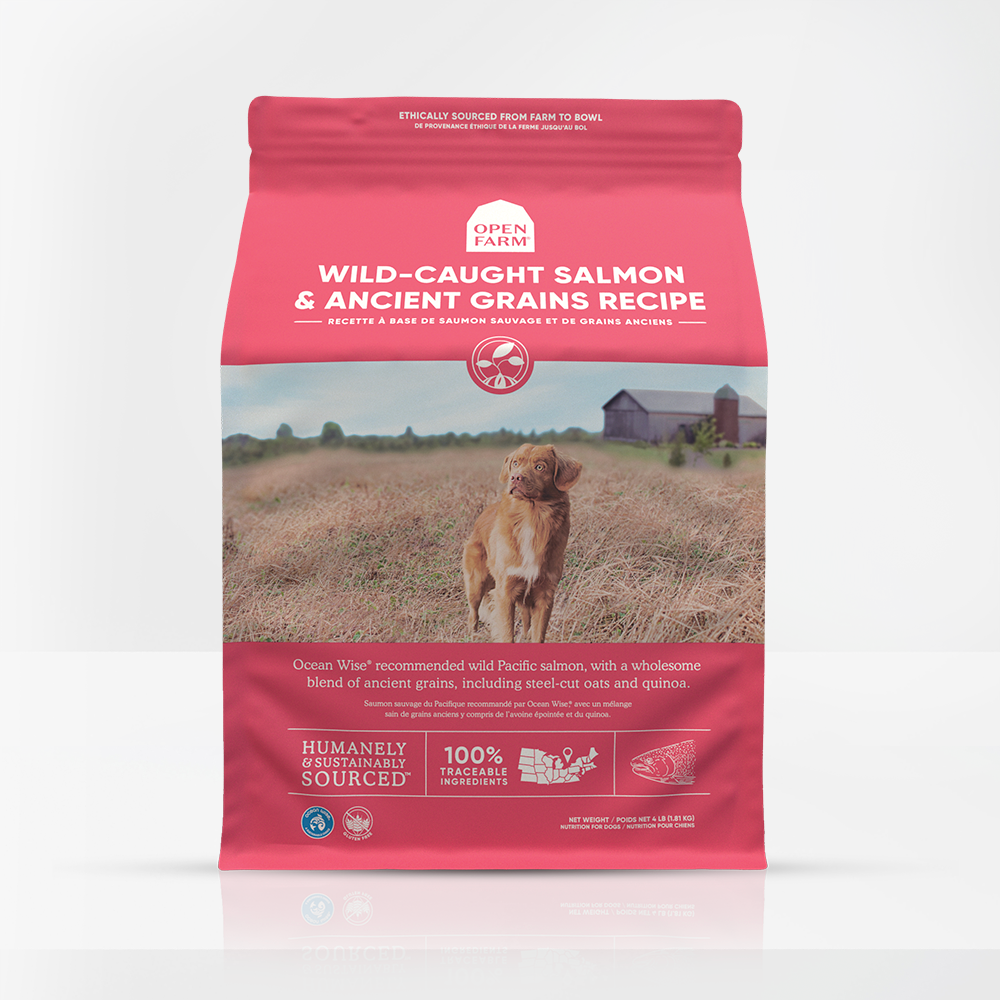 Wild-Caught Salmon & Ancient Grains Dry Dog Food