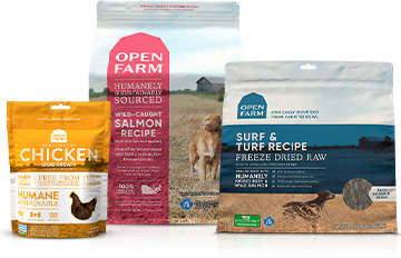 New Puppy Pack Salmon