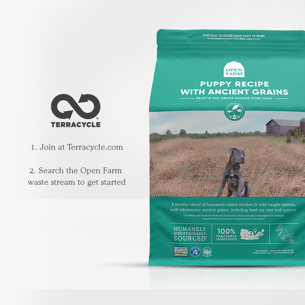 Puppy Ancient Grains Dry Dog Food