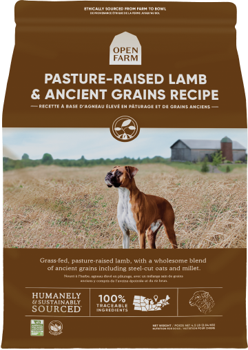 Pasture-Raised Lamb & Ancient Grains Dry Dog Food