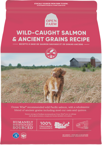 Wild-Caught Salmon & Ancient Grains Dry Dog Food