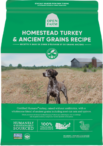 Homestead Turkey & Ancient Grains Dry Dog Food