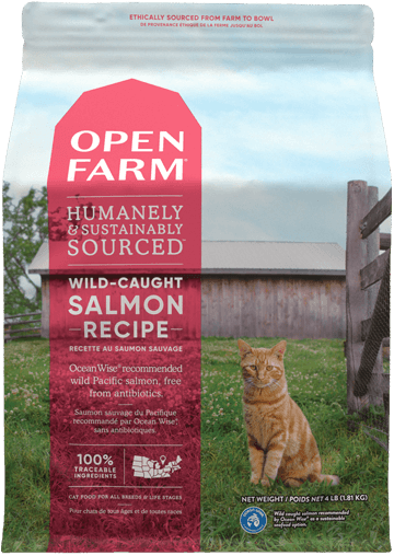 Wild-Caught Salmon Dry Cat Food
