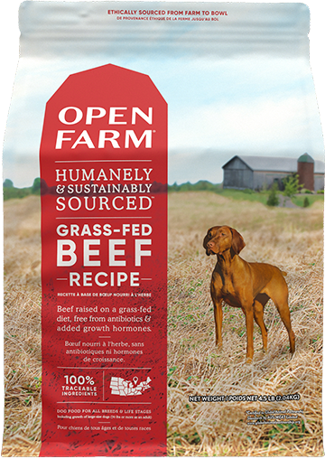 Grass-Fed Beef Dry Dog Food