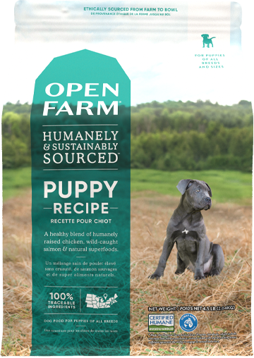 Puppy Dry Dog Food