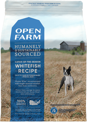 Catch-of-the-Season Whitefish Dry Dog Food