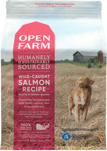 Wild-Caught Salmon Dry Dog Food